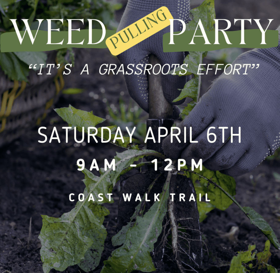 3rd Annual Weed Pulling Party